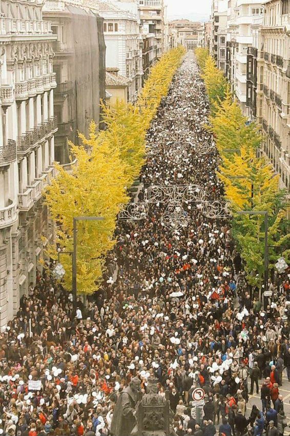 Manifestación Granada