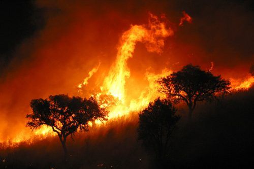 incendio forestal
