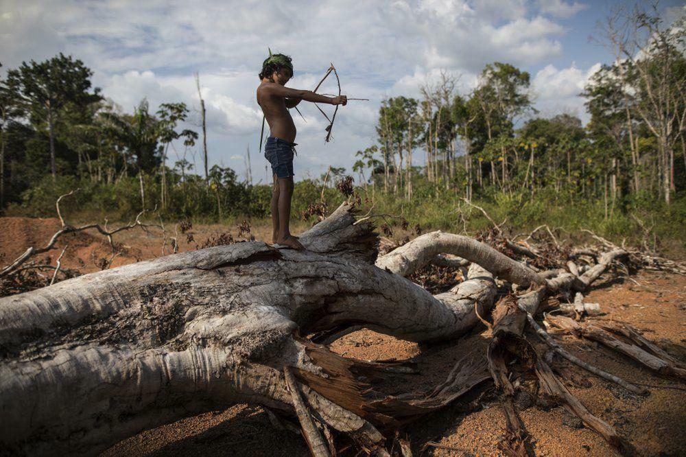 Soja y deforestación: el papel de los supermercados españoles en la crisis amazónica
