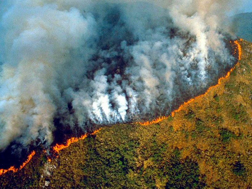 Denuncian-a-Bolsonaro-para-que-cumpla-los-compromisos-del-Brasil-sobre-el-cambio-climático-y-combata-la-desforestación