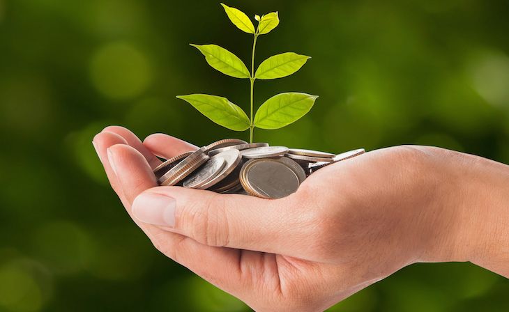 Hand holding plant sprouting from a handful of coins