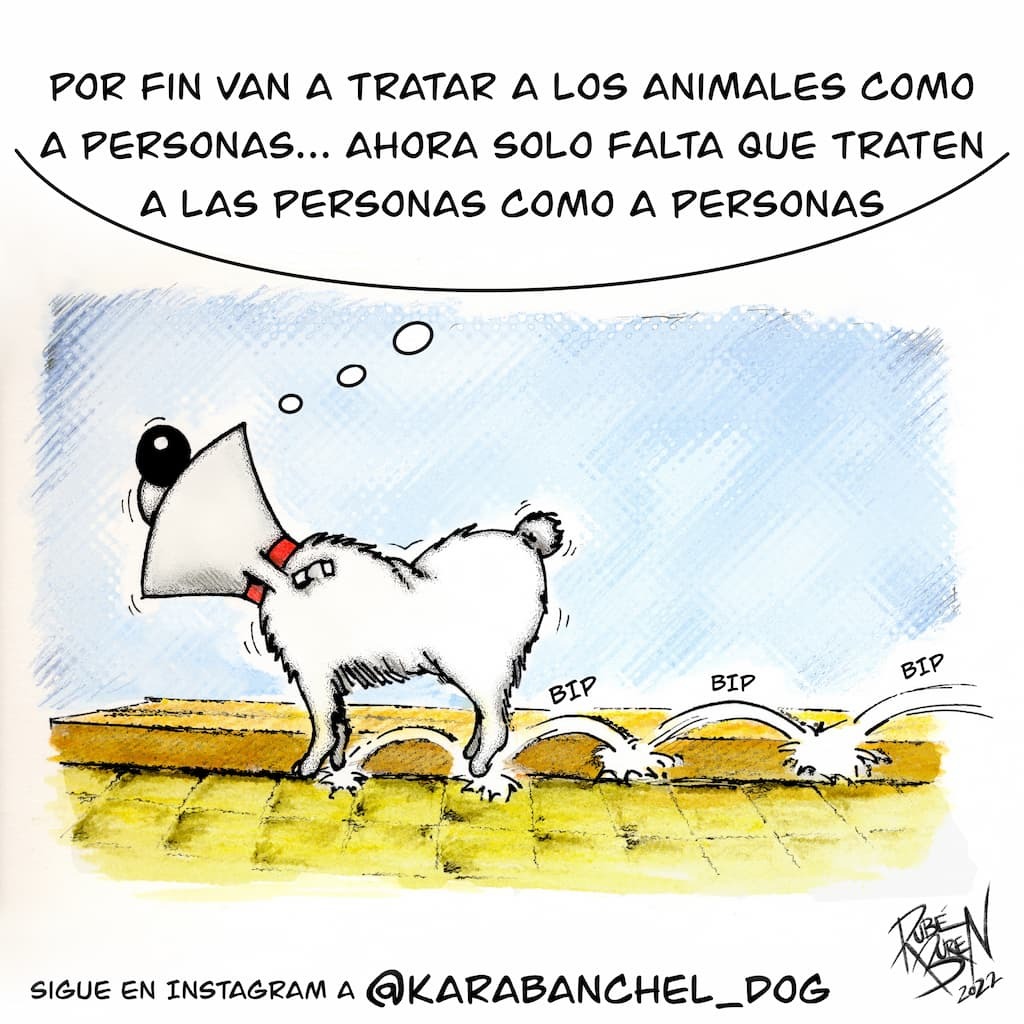 Karabanchel Dog Animales con Derechos
