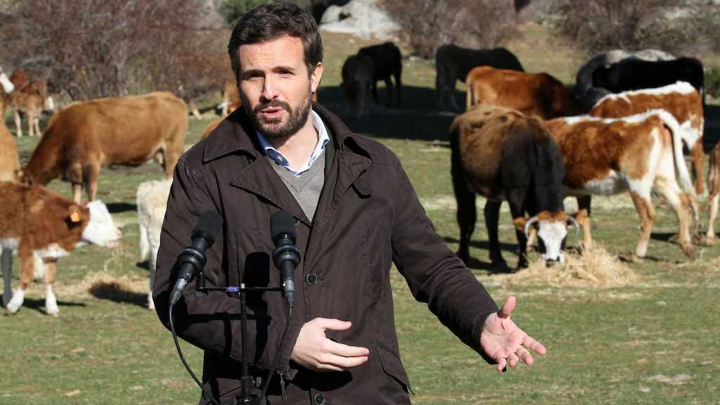 Pablo Casado en una de sus campañas en el campo.