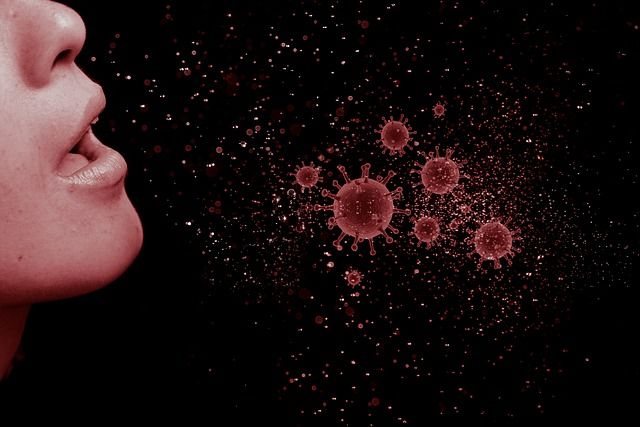 gripe virus