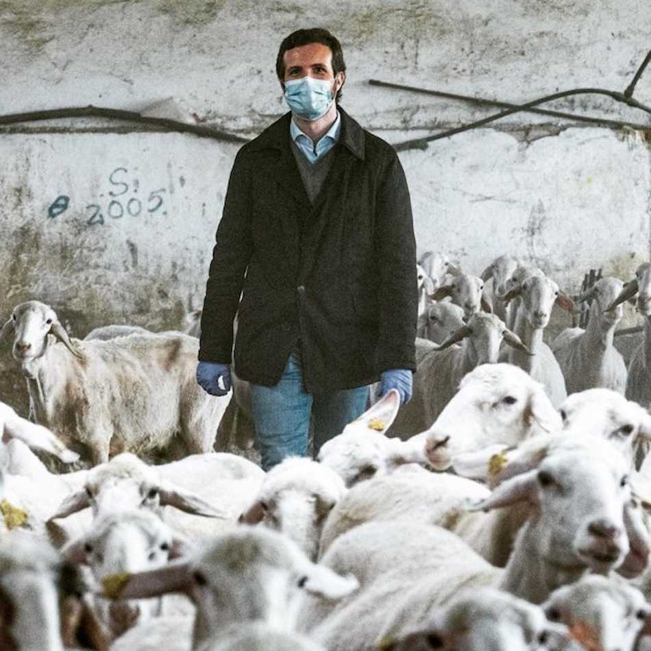 Pablo Casado en una de sus habituales performances.