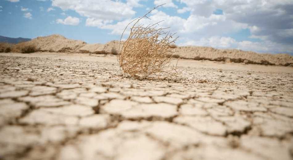 La desertización avanza en España.