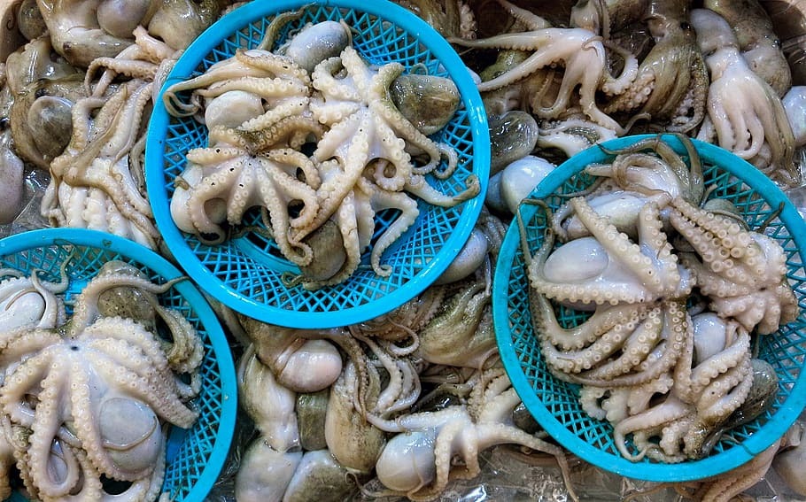 calamares