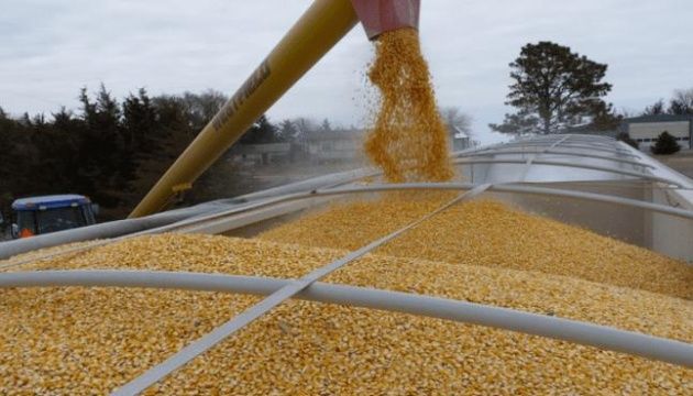 La FAO informa de un importante descenso en los mercados mundiales de los principales cereales y aceites vegetales