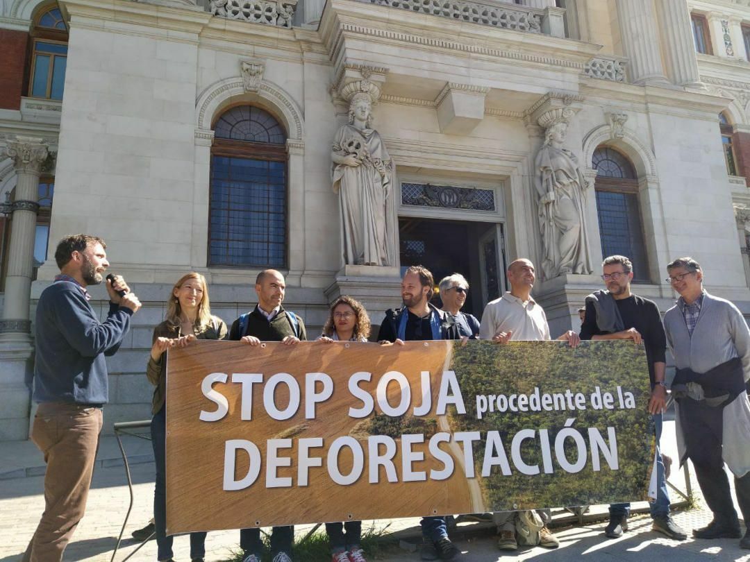 activistas-brasil-denuncias-deforestacion (1)