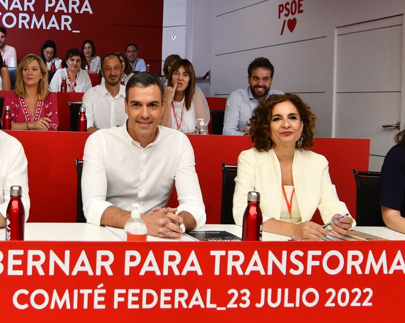 Comité-Federal-del-PSOE,-foto-Agustín-Millán