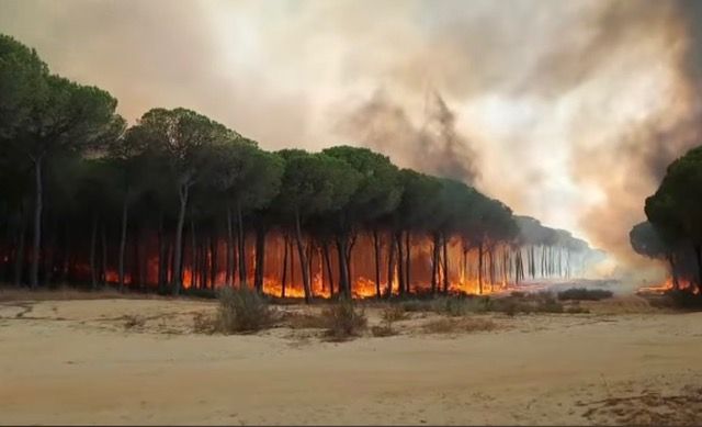 Arde España