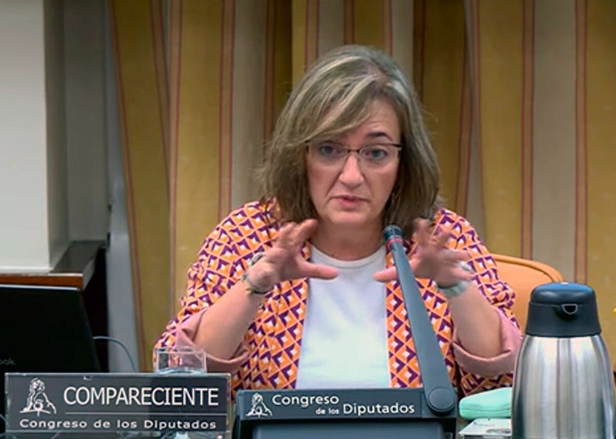 La-presidenta-de-la-AIReF,-Cristina-Herrero,-en-el-Congreso-de-los-Diputados