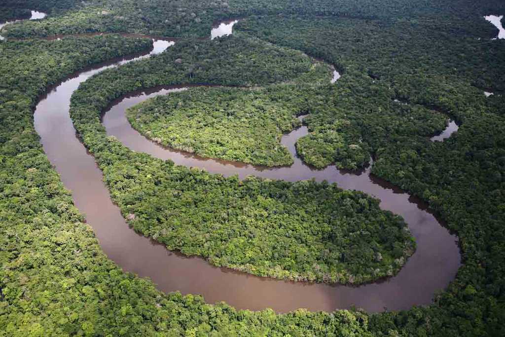 amazonia__brent_stirton___getty_images