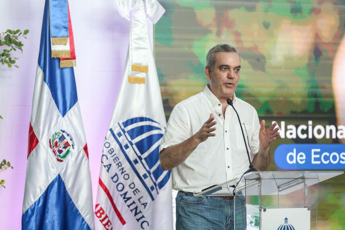 Abinader Formación Diáspora