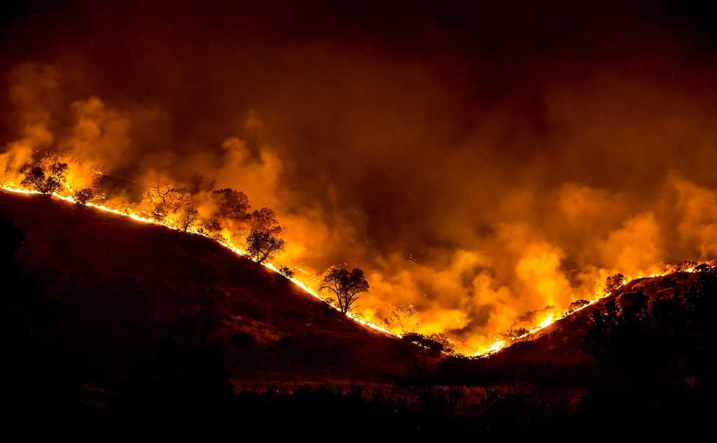 Woolsey_Fire_-_tree_ridge_in_flames_20181119-PB-008