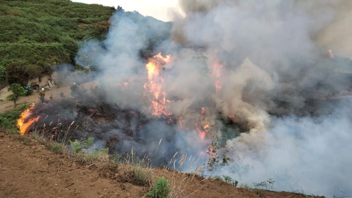 El incendio de Tenerife se ralentiza y los evacuados empiezan a regresar a sus hogares