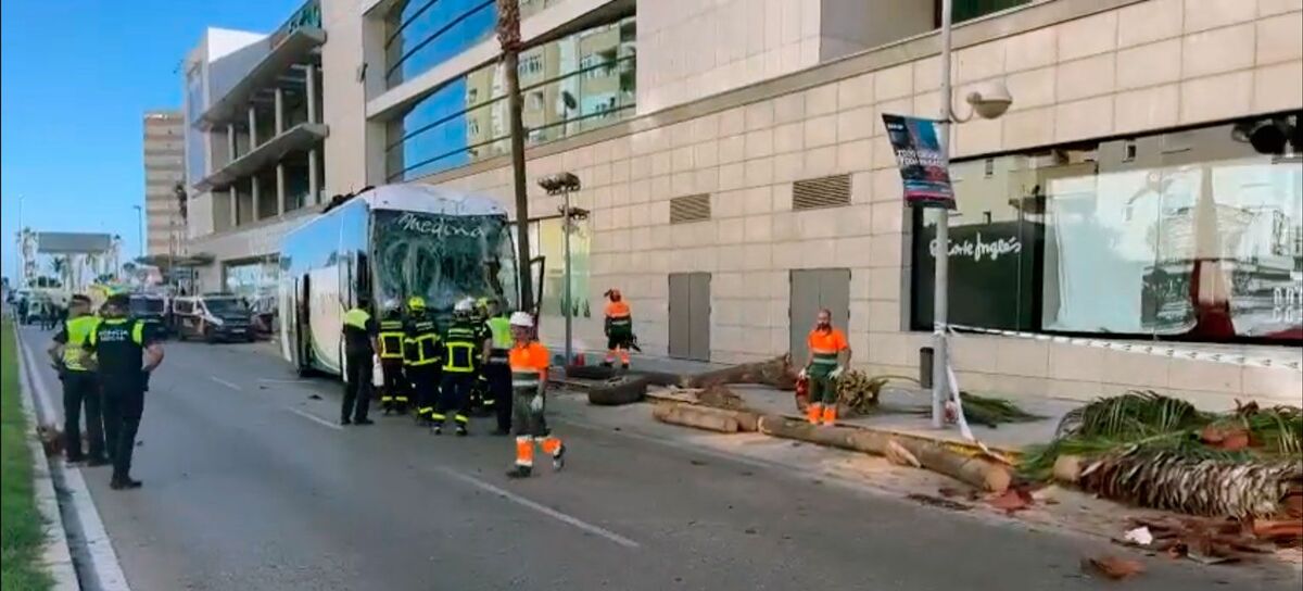 el-autobús-una-vez-que-ha-detenido-la-marcha.