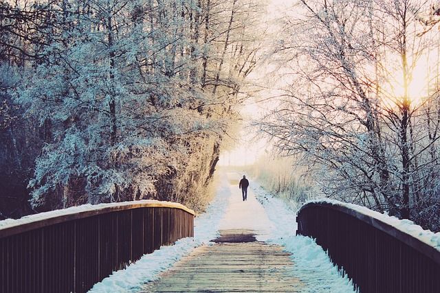 frío, invierno