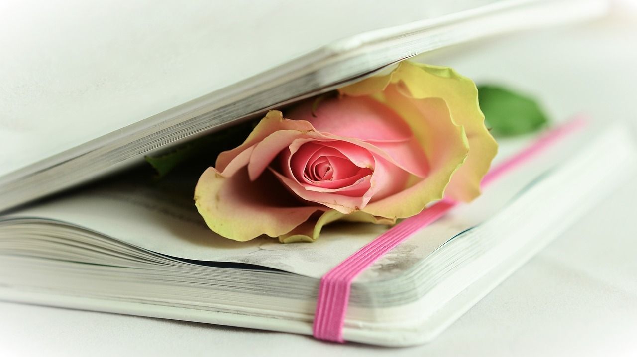 rose-764267_1280.jpg
