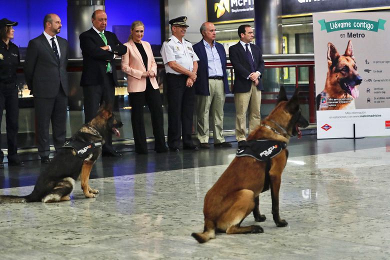 perros-metro-madrid-cifuentes