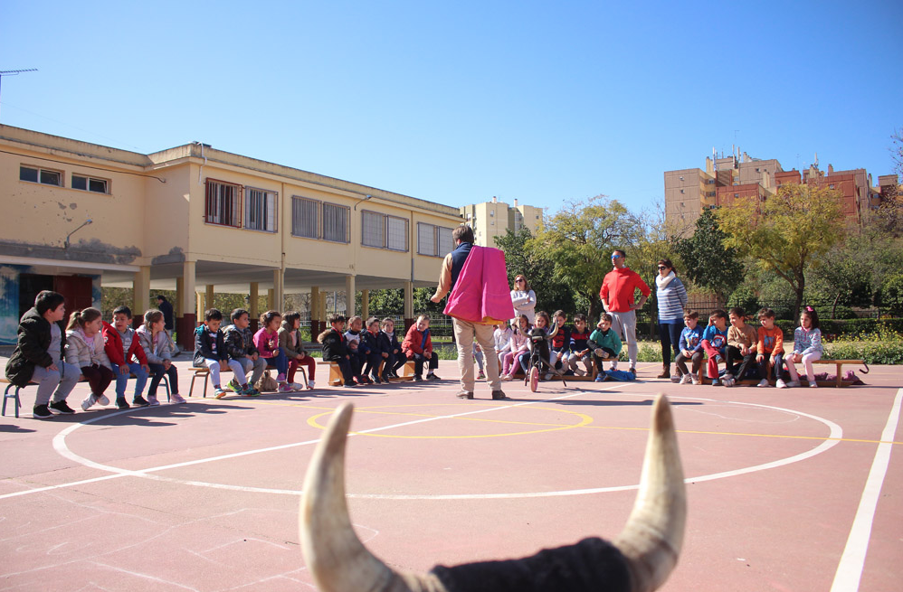 Toros en colegio público