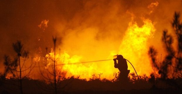 Los incendios forestales alcanzan niveles extremos en España, se requieren soluciones urgentes