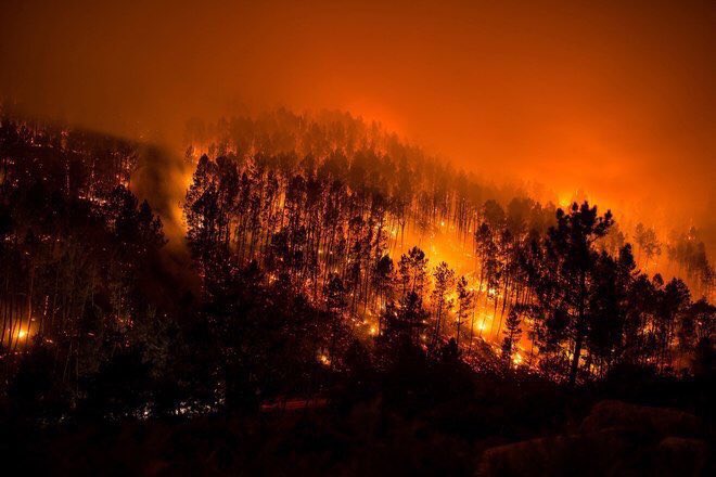 El Gobierno toma medidas urgentes ante el riesgo de incendios forestales