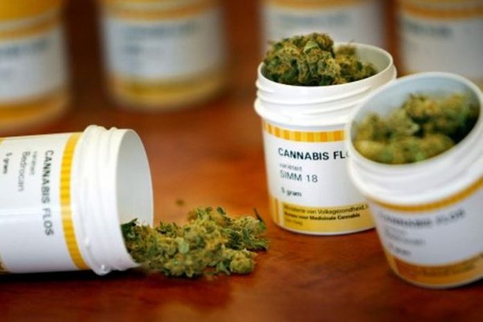 El Cannabis se salva de la inflación en pleno proceso de legalización a nivel federal en Estados Unidos
