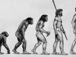 Imagen sobre la evolución de Darwin
