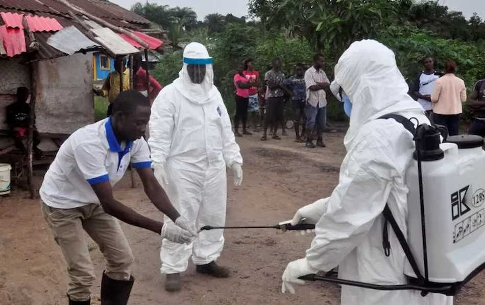 Preocupación por la transmisión de virus como él ébola en África.