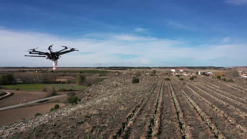 Mediante drones y semillas inteligentes se recuperarán 230 hectáreas de terrenos degradados.