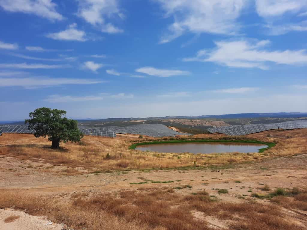 Planta fotovoltaica de Extremadura.