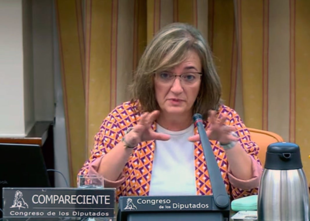 La presidenta de la AIReF, Cristina Herrero, en el Congreso de los Diputados
