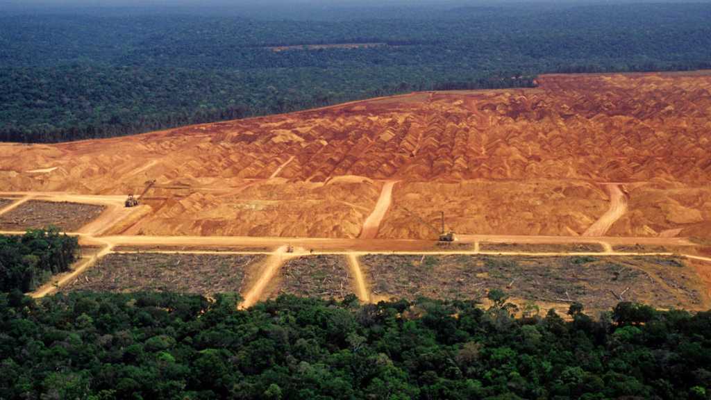 Europa no contribuirá más a la deforestación de los bosques