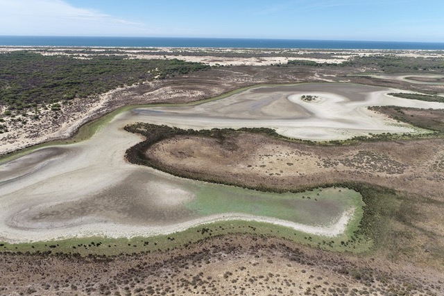 Doñana al borde del colapso: la sobreexplotación acuífera exige acción inmediata