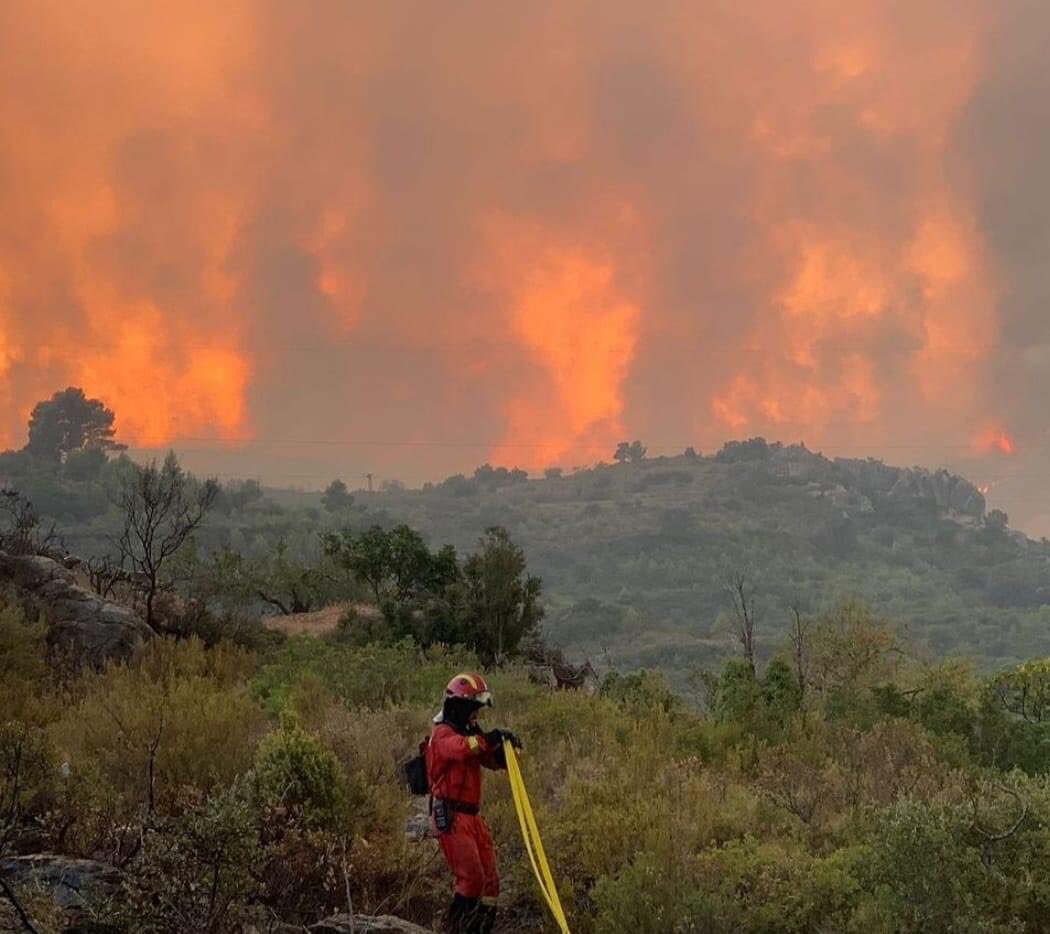 Analizan el impacto medioambiental del incendio de Tenerife una semana después de su inicio
