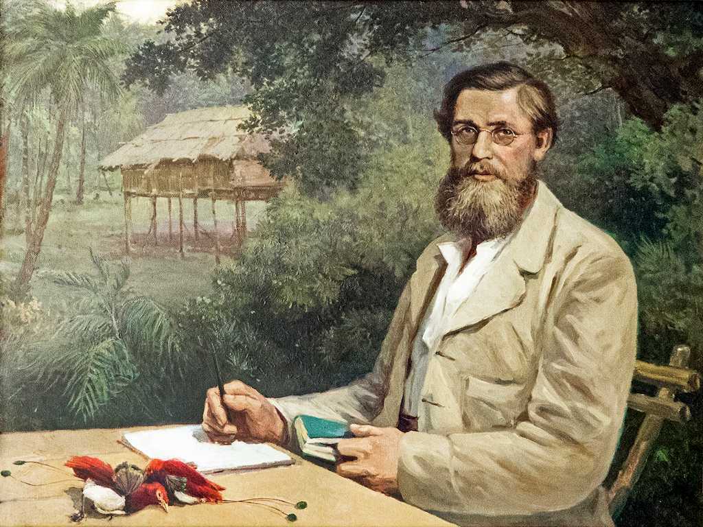 La "biogeografía" Del Naturalista Alfred Russel Wallace Llega Al MNCN ...