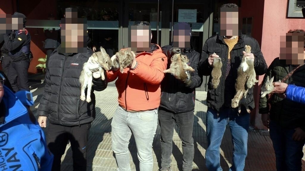 El juzgado abre diligencias contra los manifestantes que lanzaron conejos vivos en Lleida