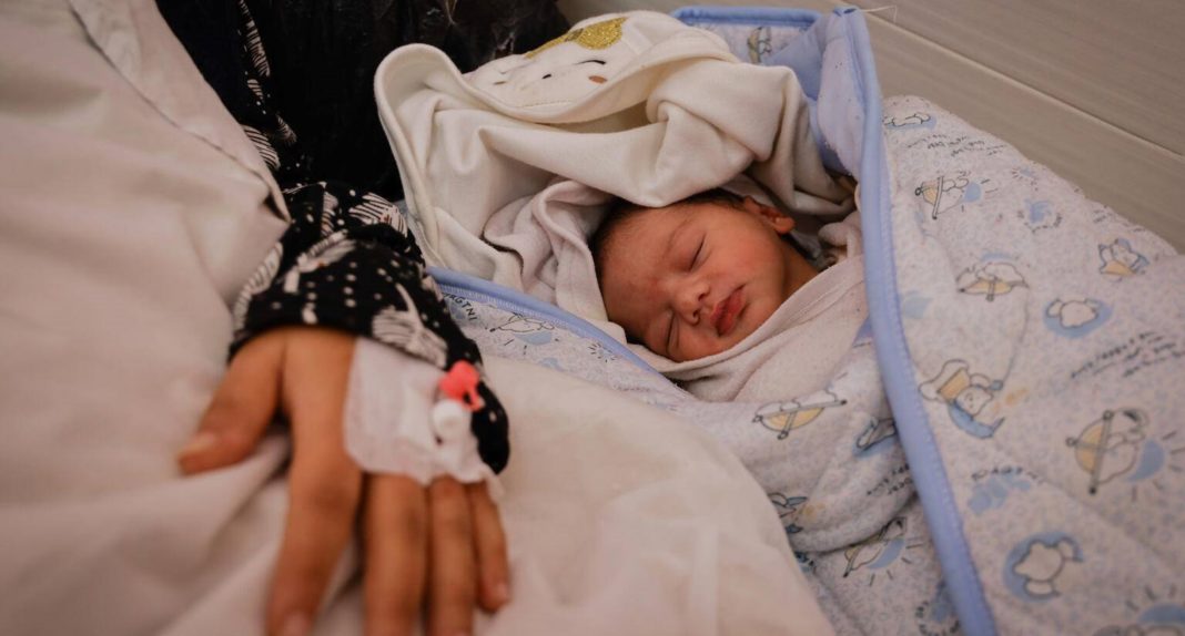 Gaza Bebés